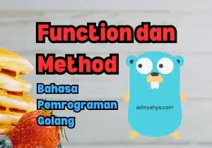 Function dan Method Bahasa Pemrograman Golang
